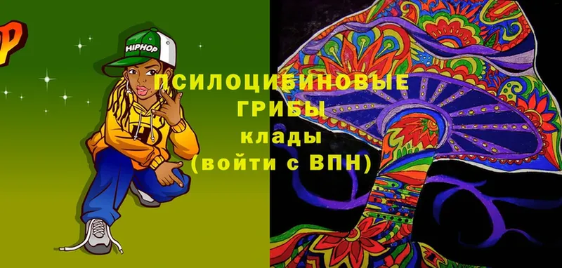 Галлюциногенные грибы Magic Shrooms  Челябинск 